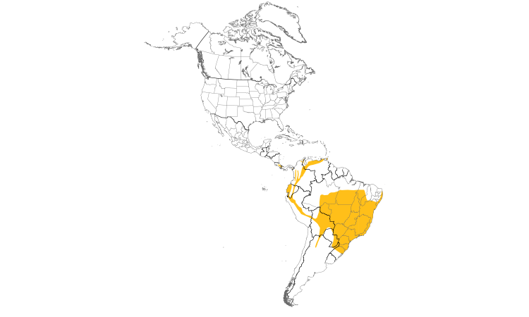 Range Map (Americas): Streaked Xenops