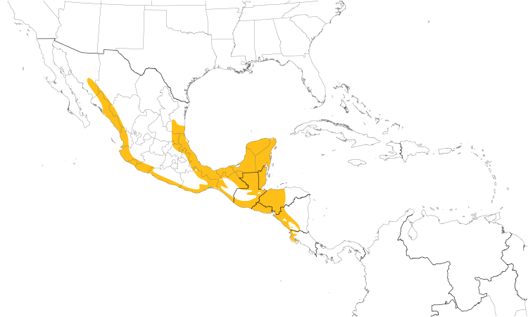 Range Map (Central): Ivory-billed Woodcreeper