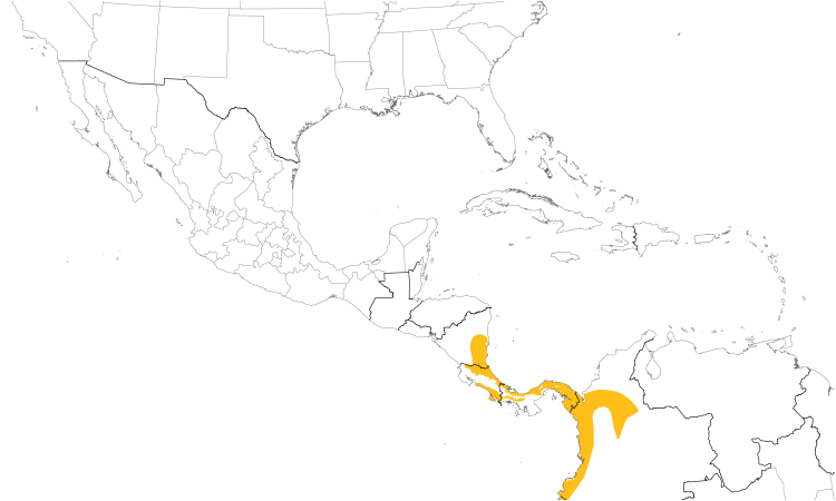 Range Map (Central): Black-striped Woodcreeper