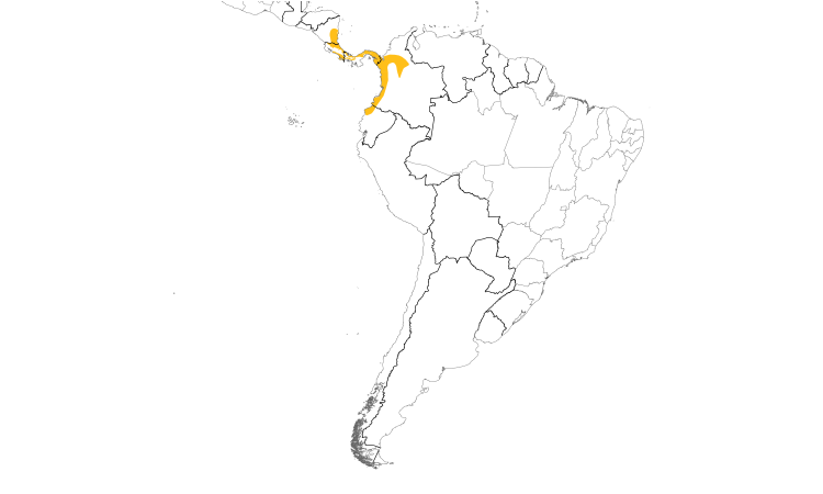 Range Map (South): Black-striped Woodcreeper