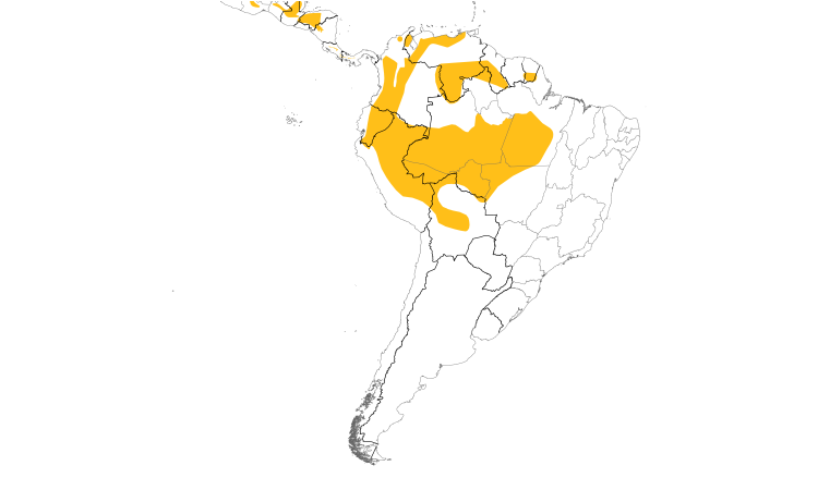 Range Map (South): Strong-billed Woodcreeper