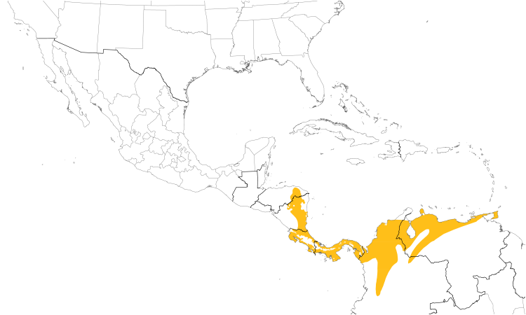 Range Map (Central): Cocoa Woodcreeper
