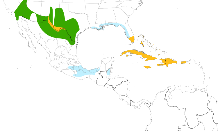 Range Map (Central): White-winged Dove
