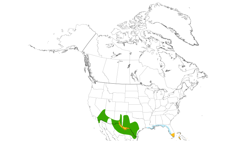 Range Map (North): White-winged Dove
