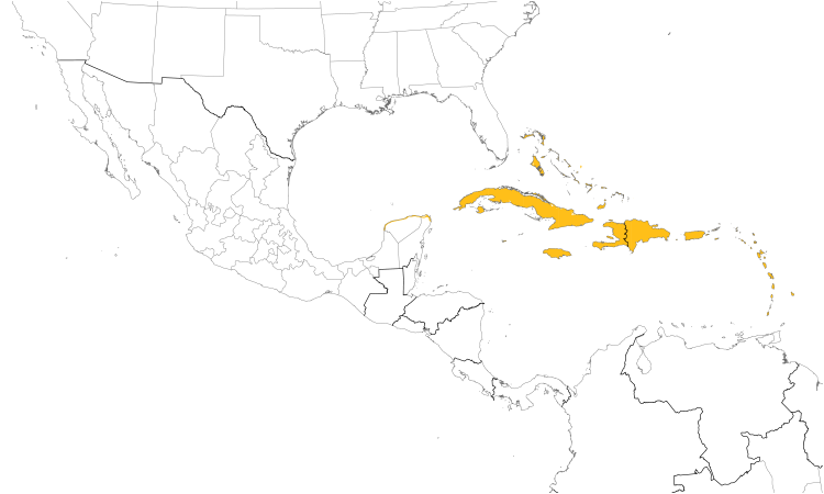 Range Map (Central): Zenaida Dove