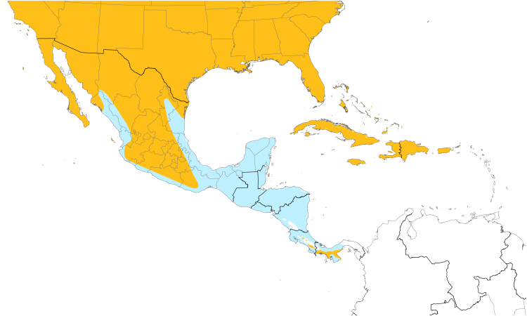 Range Map (Central): Mourning Dove