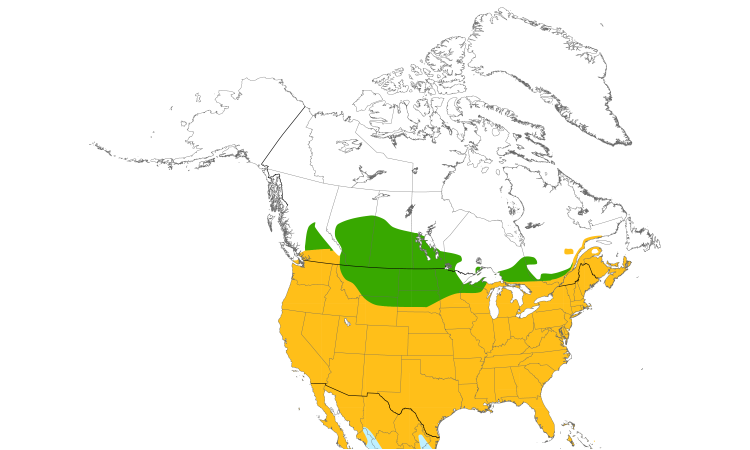 Range Map (North): Mourning Dove