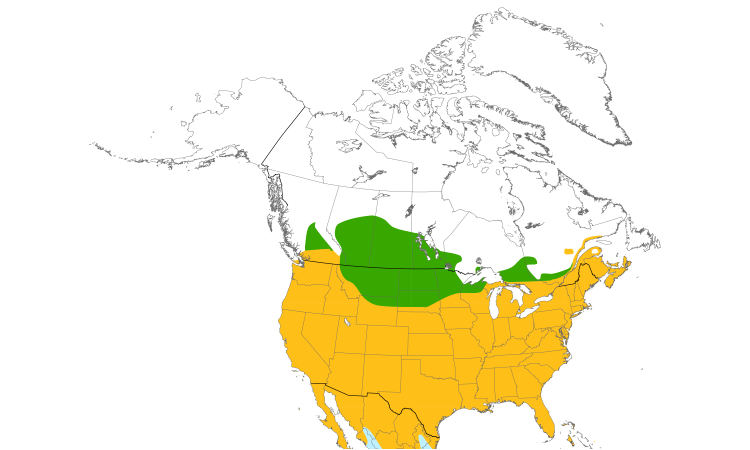Carte de répartition  (North): Tourterelle triste