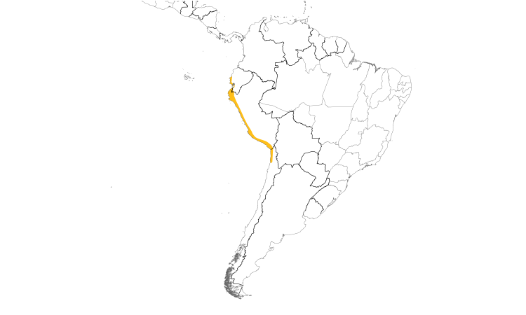 Range Map (South): White-winged Dove