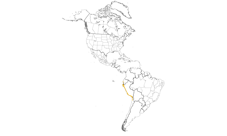 Range Map (Americas): White-winged Dove