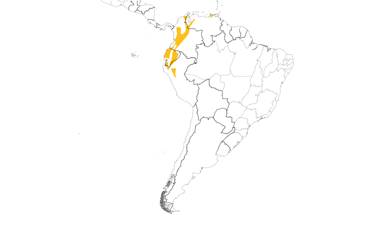 Range Map (South America): Golden-faced Tyrannulet