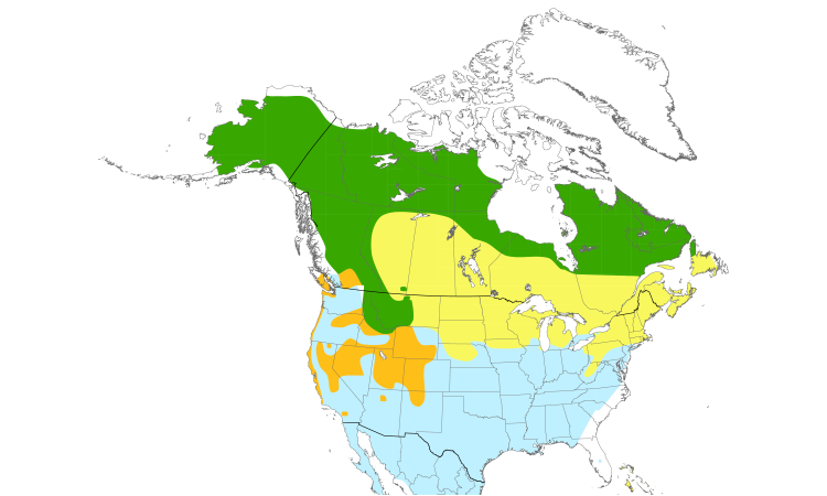 Range Map (North): White-crowned Sparrow