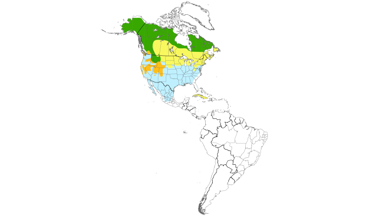 Range Map (Americas): White-crowned Sparrow