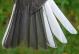 Thumbnail - MG2-2650-15254-Junco_hyemalis_AOU_7_52-1904.jpg