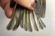 Thumbnail - RB4-299054770-Regulus_calendula_AOU_7_56-6059.JPG